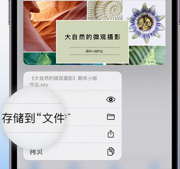 福山镇apple维修中心分享iPhone文件应用中存储和找到下载文件