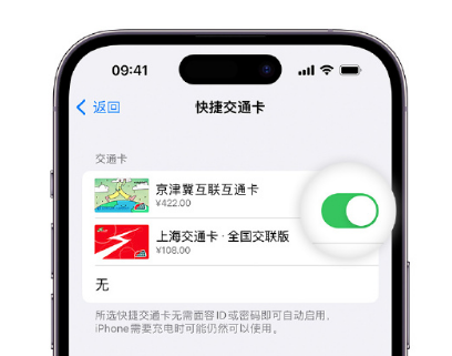 福山镇apple维修点分享iPhone上更换Apple Pay快捷交通卡手绘卡面 