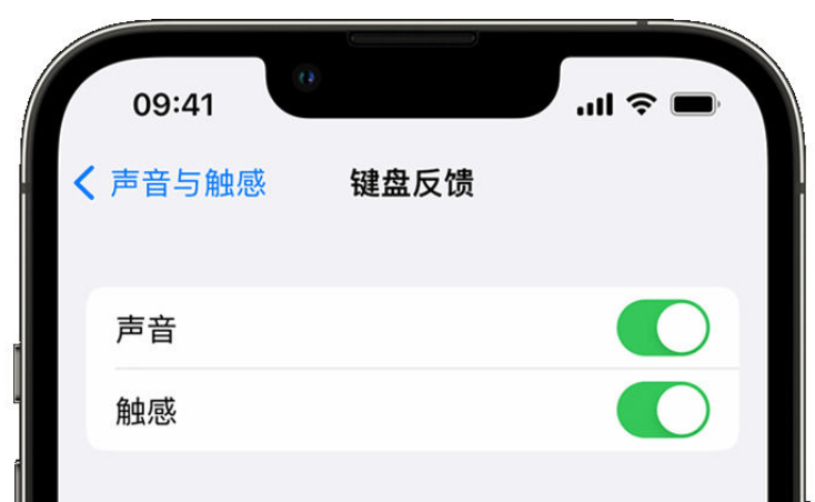 福山镇苹果手机维修分享iPhone 14触感键盘使用方法 