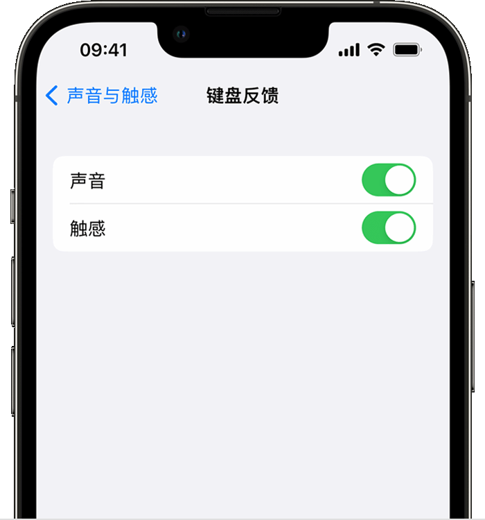 福山镇苹果14维修店分享如何在 iPhone 14 机型中使用触感键盘 