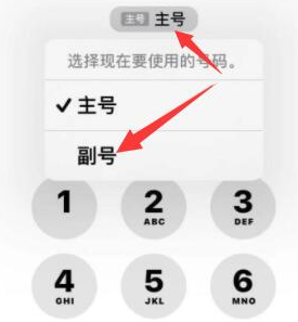 福山镇苹果14维修店分享iPhone 14 Pro Max使用副卡打电话的方法 