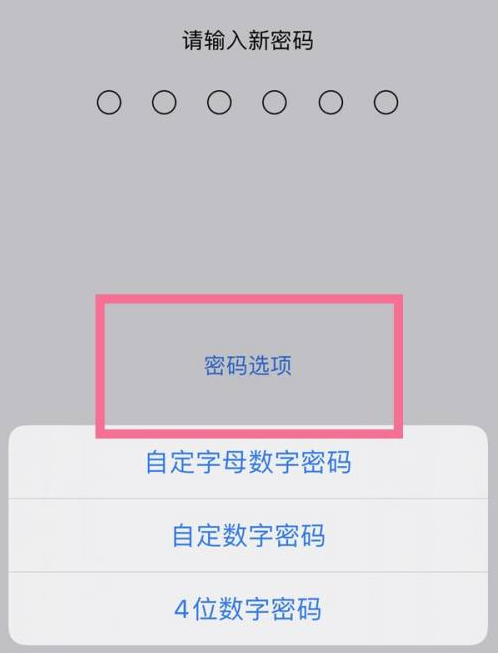 福山镇苹果14维修分享iPhone 14plus设置密码的方法 